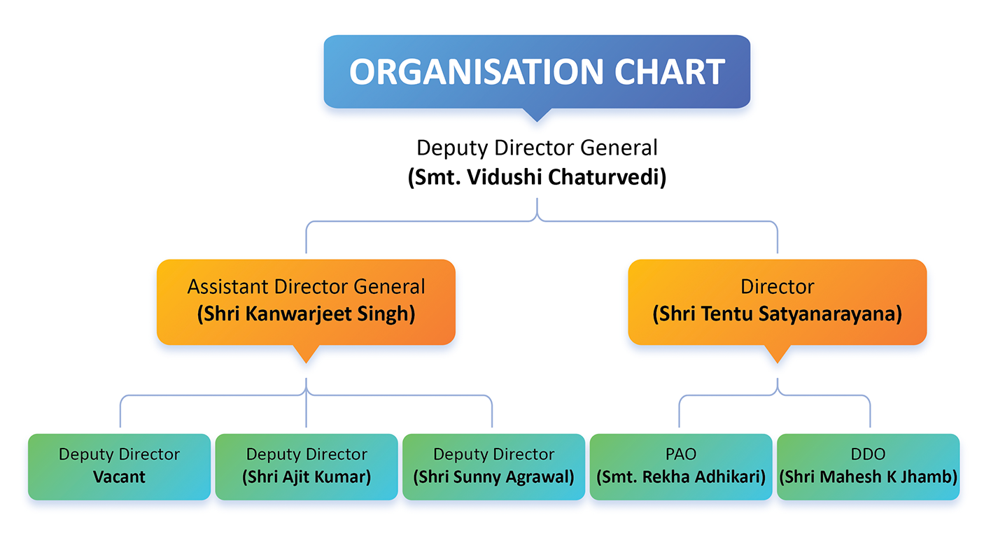 organizational chart