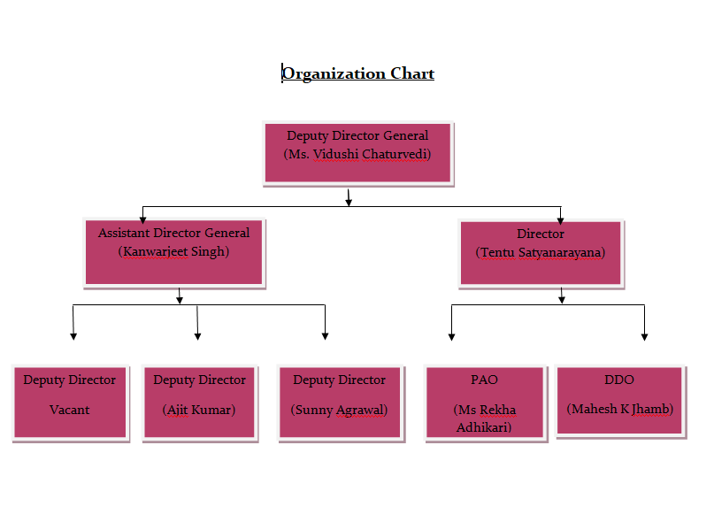 organizational chart