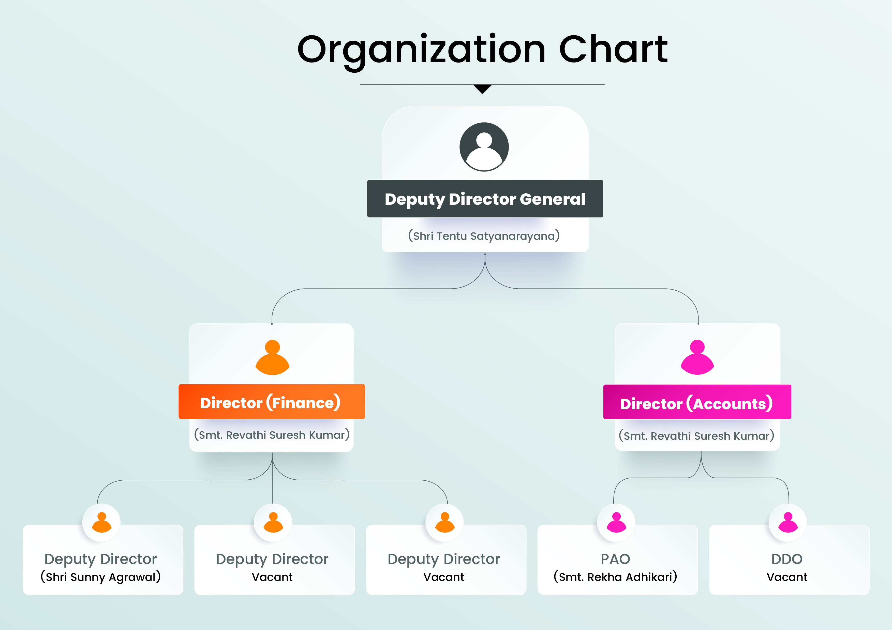 organizational chart